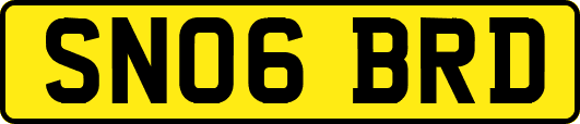 SN06BRD