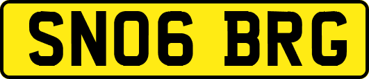 SN06BRG