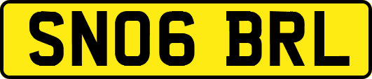 SN06BRL