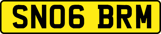 SN06BRM