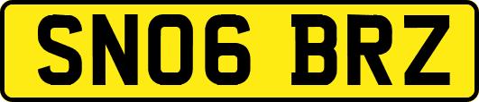 SN06BRZ