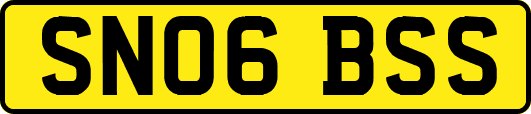 SN06BSS