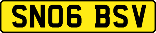 SN06BSV