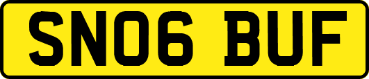 SN06BUF