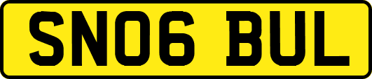 SN06BUL