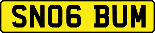 SN06BUM