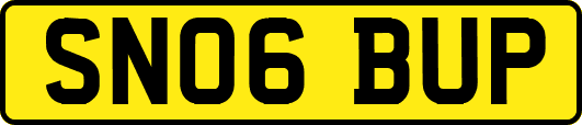 SN06BUP