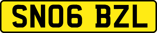 SN06BZL