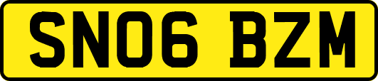 SN06BZM