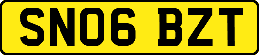 SN06BZT