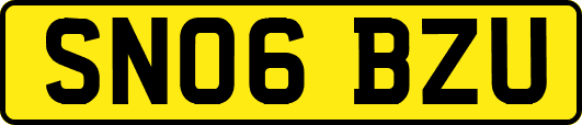 SN06BZU