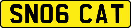 SN06CAT