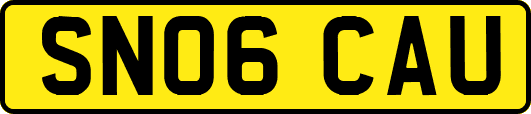 SN06CAU