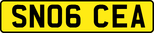 SN06CEA