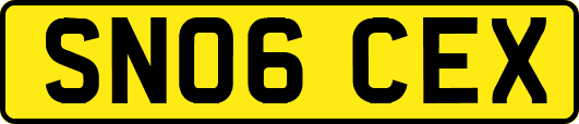SN06CEX