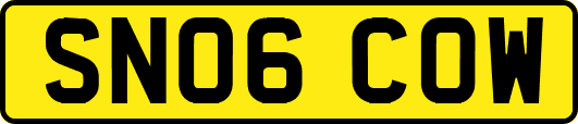 SN06COW