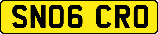 SN06CRO