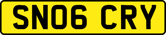 SN06CRY