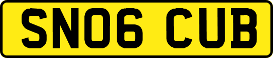 SN06CUB