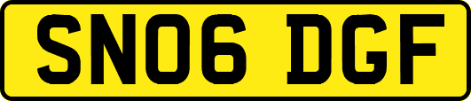SN06DGF