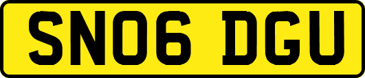 SN06DGU