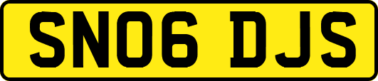 SN06DJS