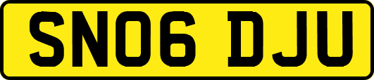 SN06DJU