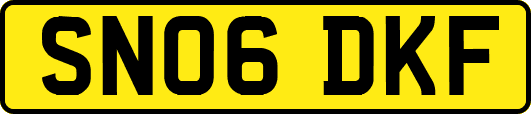SN06DKF