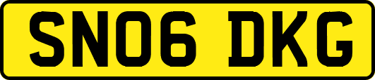 SN06DKG