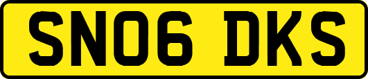 SN06DKS