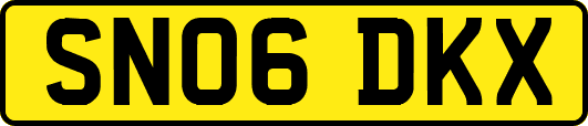SN06DKX