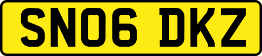 SN06DKZ