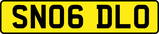 SN06DLO