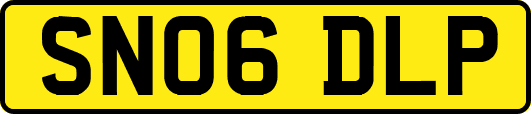 SN06DLP