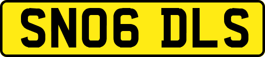 SN06DLS