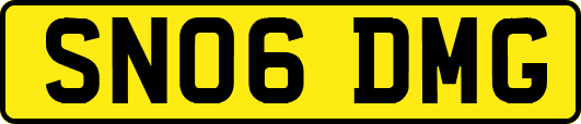 SN06DMG