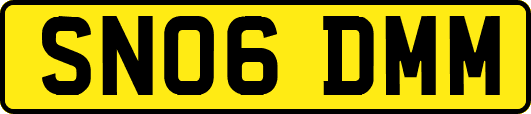 SN06DMM