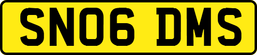 SN06DMS