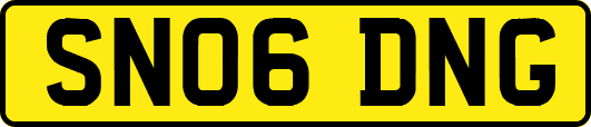 SN06DNG