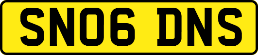 SN06DNS