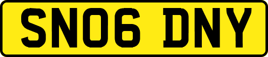 SN06DNY