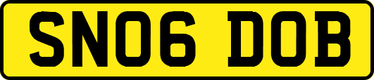 SN06DOB