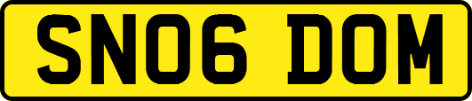 SN06DOM