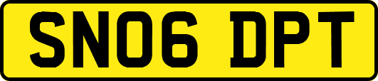 SN06DPT