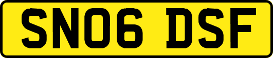 SN06DSF