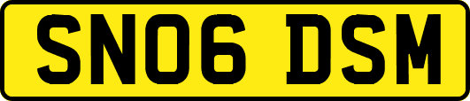 SN06DSM