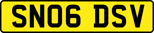 SN06DSV