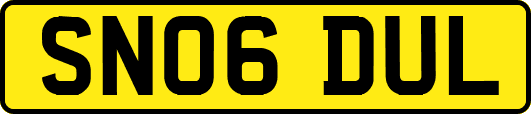 SN06DUL