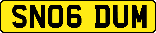 SN06DUM