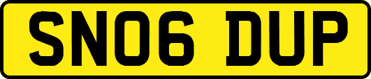 SN06DUP